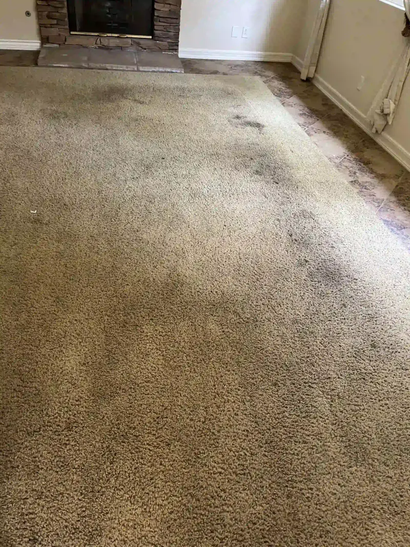 Dirty carpet with dark stains in front of a stone fireplace.