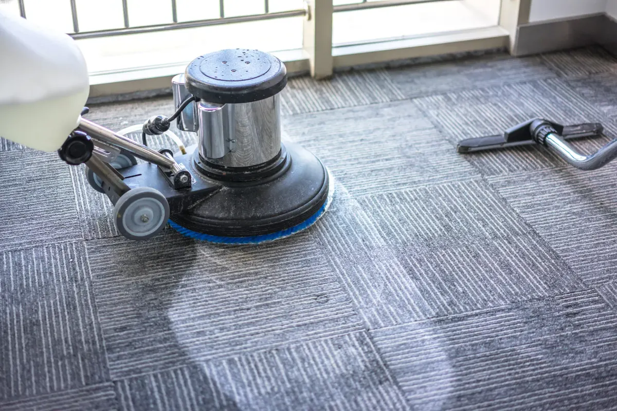 A floor buffer cleans a carpet with water and cleaning solution.
