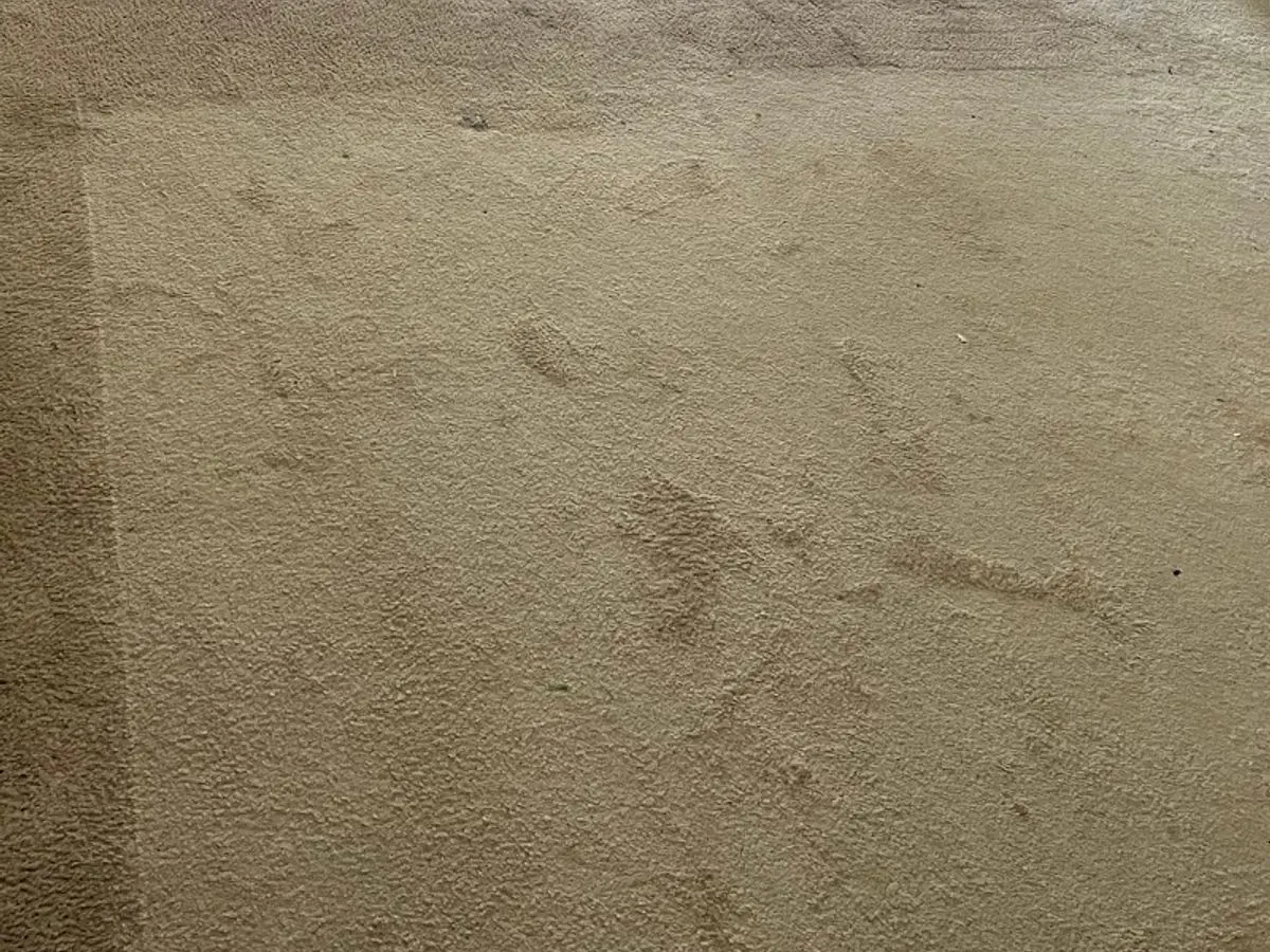 Apartment living room, ground-in soil beside the first cleaned strip after cleaning