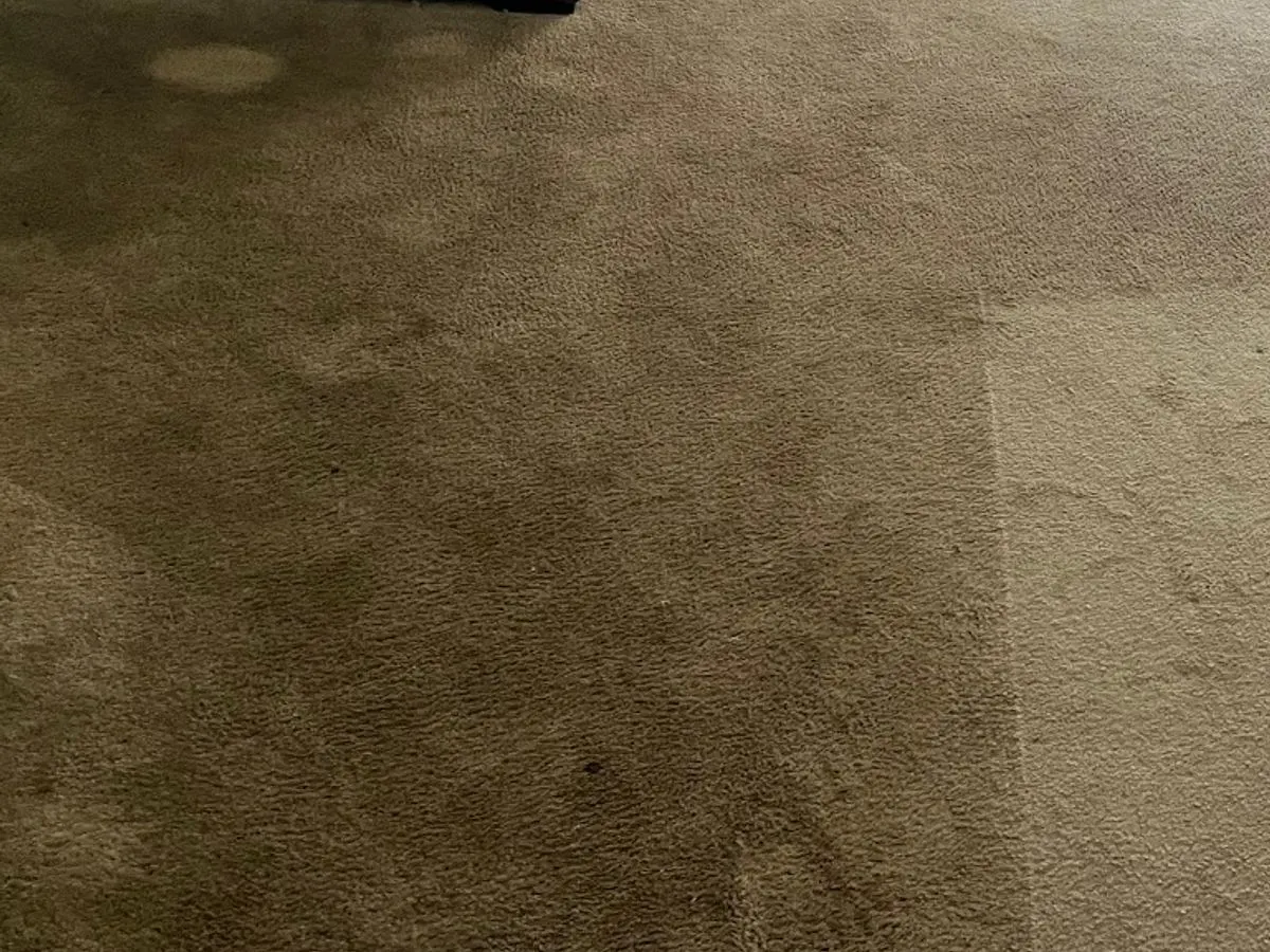 Apartment living room, ground-in soil beside the first cleaned strip before cleaning