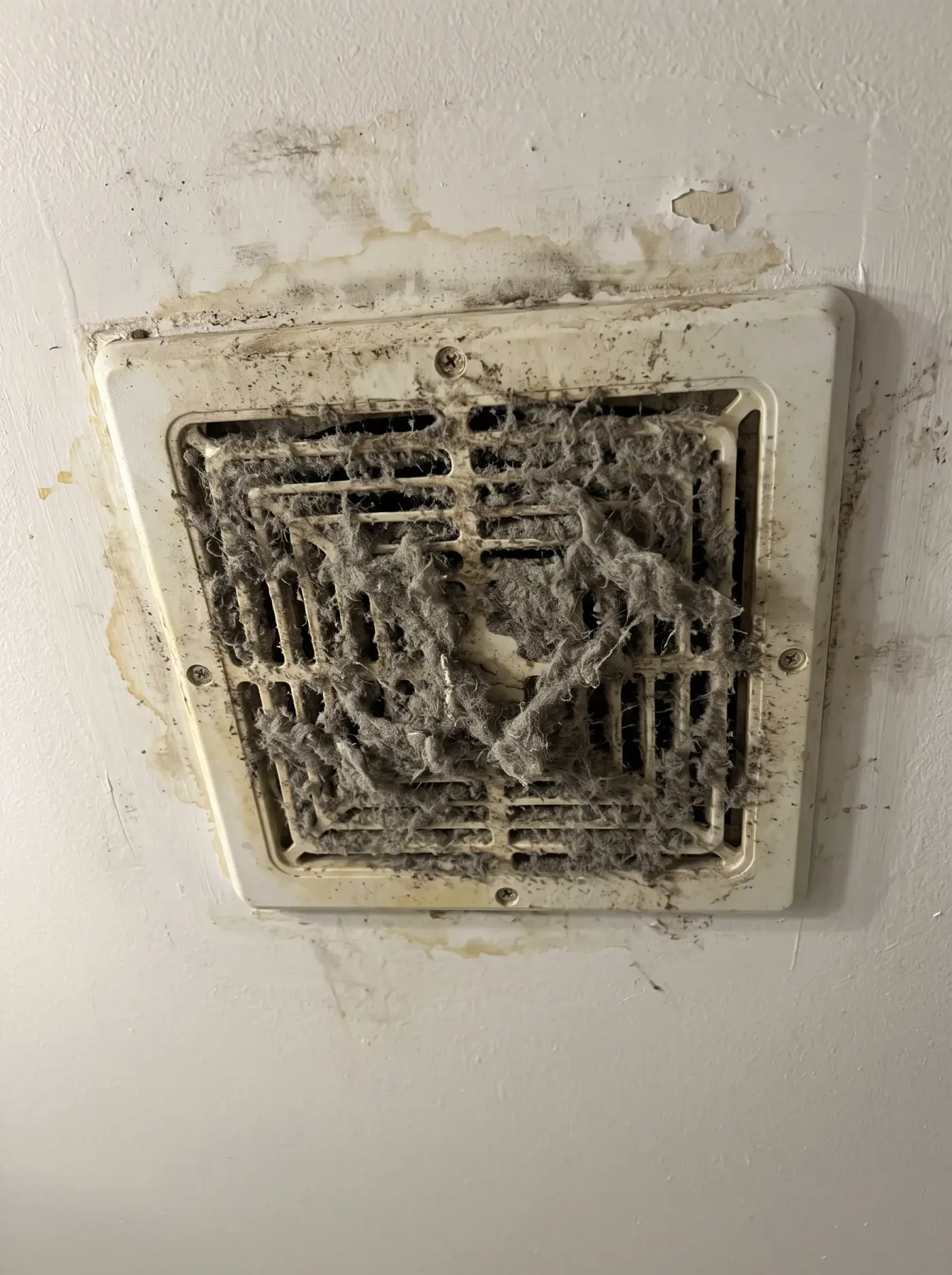 Bathroom exhaust grille, dust caked on the cover beside the cleared grille before cleaning