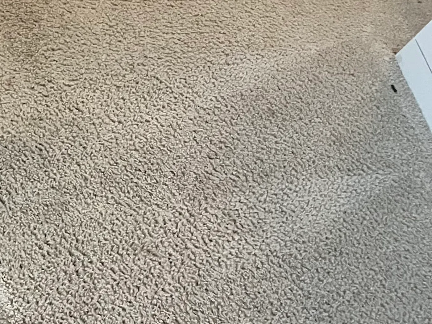 Bedroom carpet, traffic soil beside a cleaned pass after cleaning