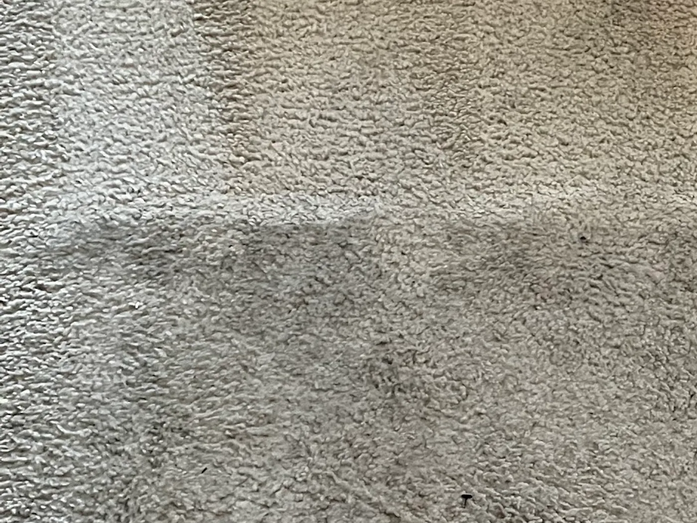 Bedroom carpet, traffic soil beside a cleaned pass before cleaning