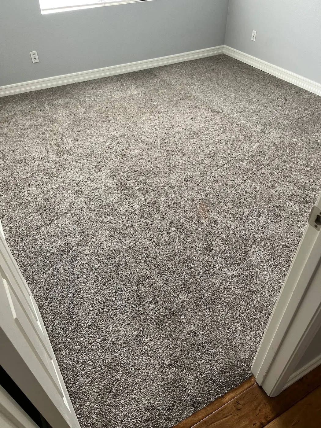 Carpet with a stain beside the cleaned carpet before cleaning