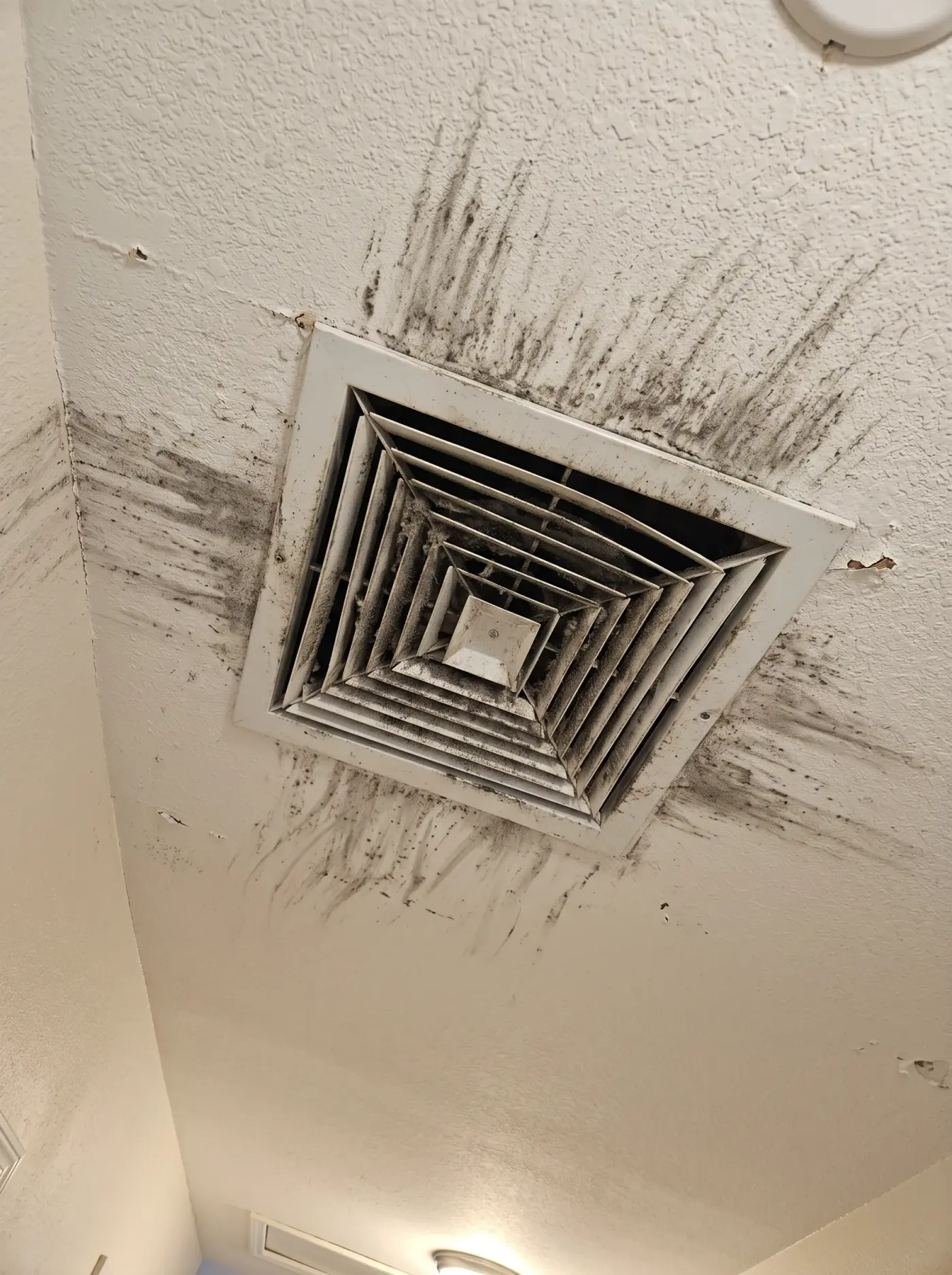 Ceiling supply diffuser, a dust ring beside the cleared grille before cleaning