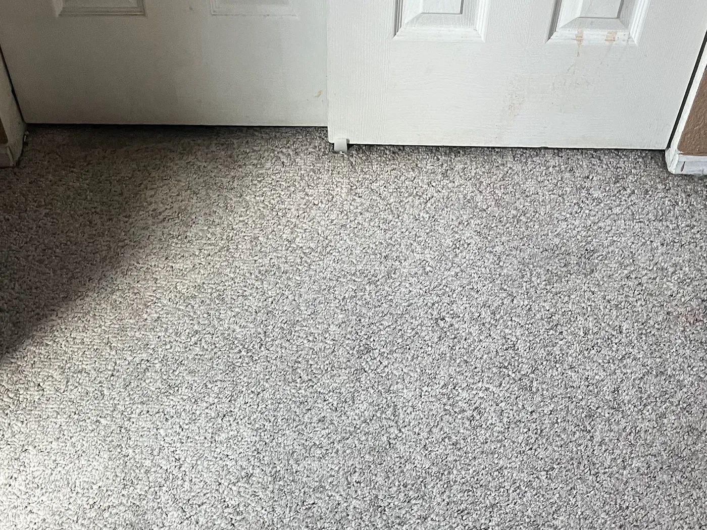 Entry carpet, soiled foreground and a cleaned pass by the door after cleaning