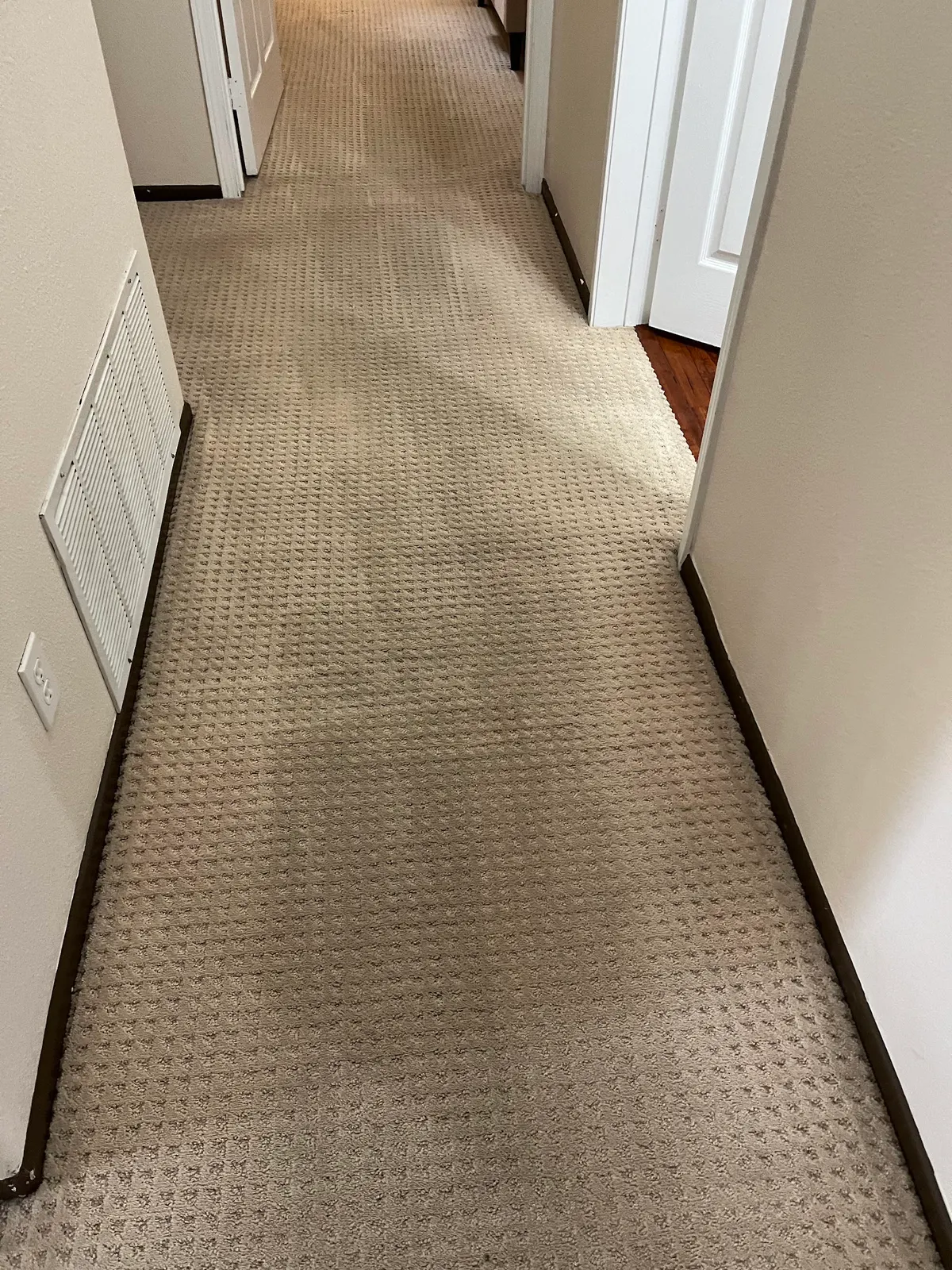 Hallway carpet, a soiled walking lane beside the cleaned hall after cleaning