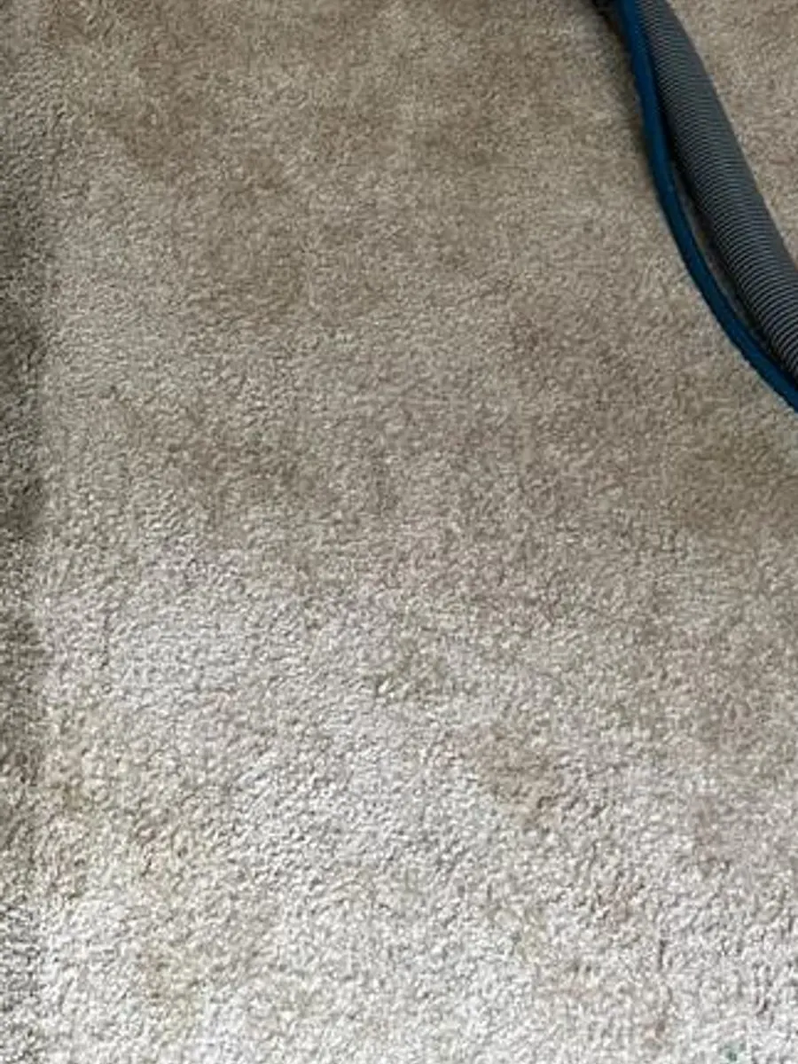 Bedroom carpet, matted soil beside the cleaned side mid-job after cleaning