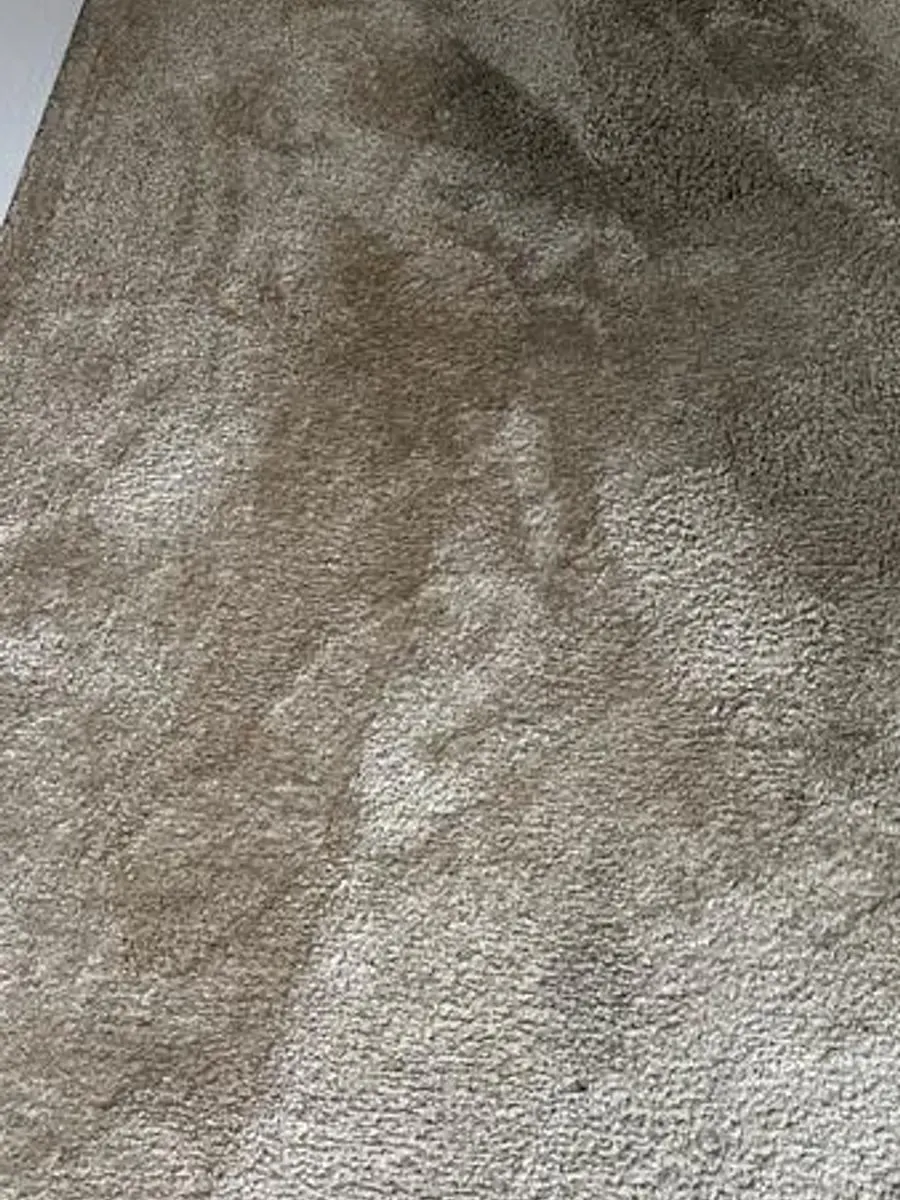 Bedroom carpet, matted soil beside the cleaned side mid-job before cleaning