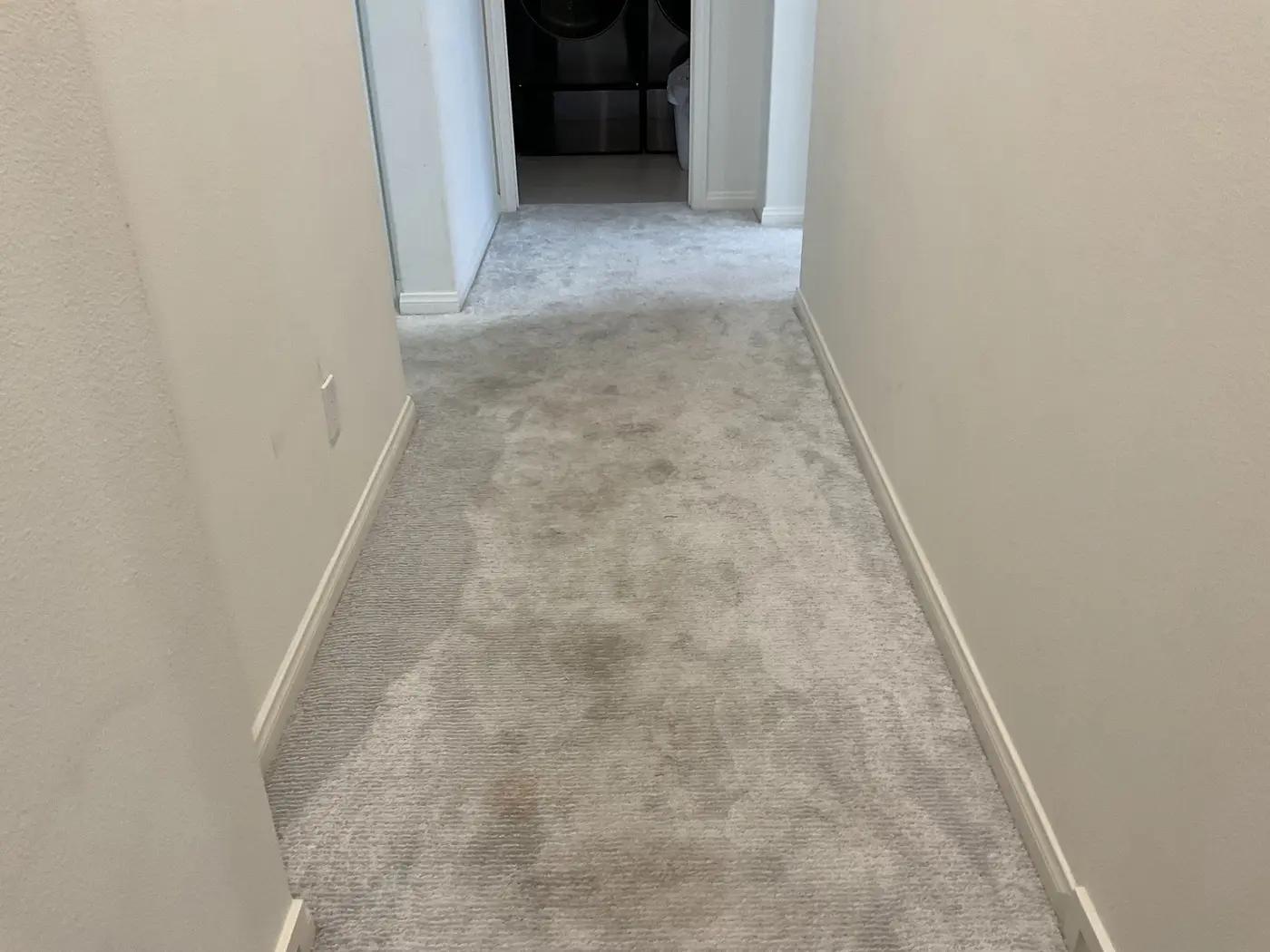 Hallway carpet, soiled lane beside the cleaned hallway before cleaning