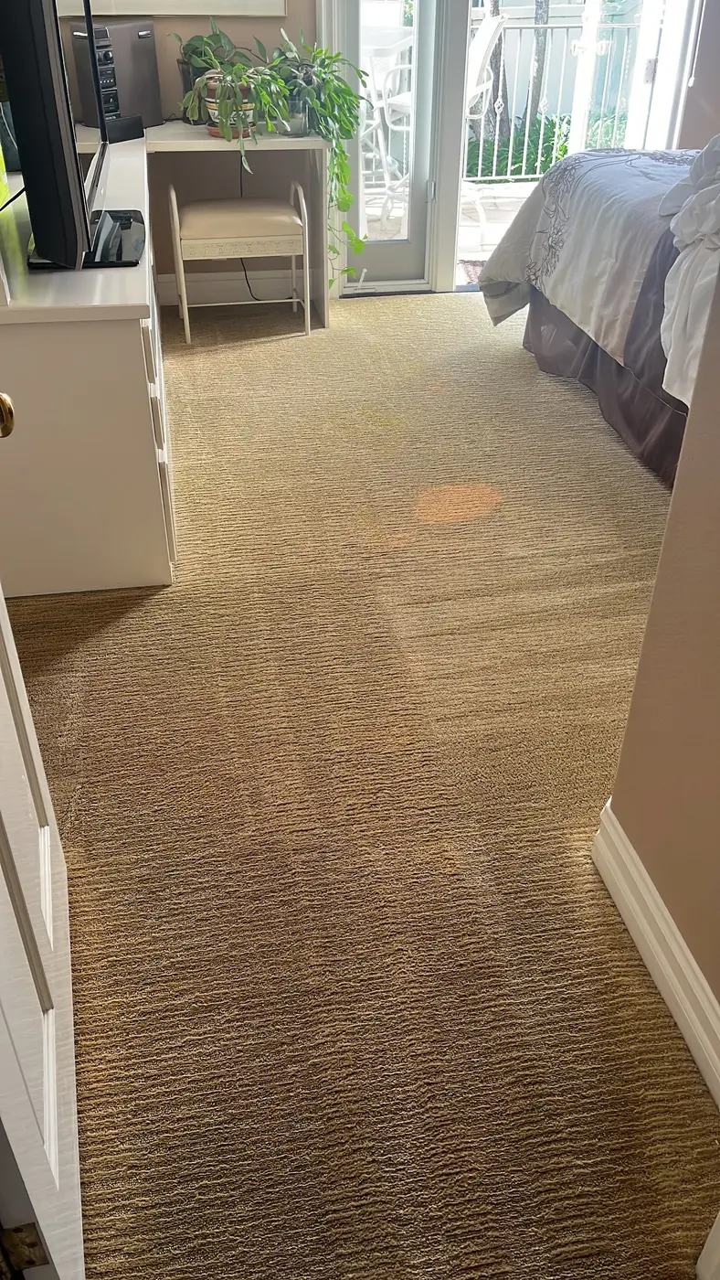 Carpet with pet stains beside the cleaned carpet after cleaning
