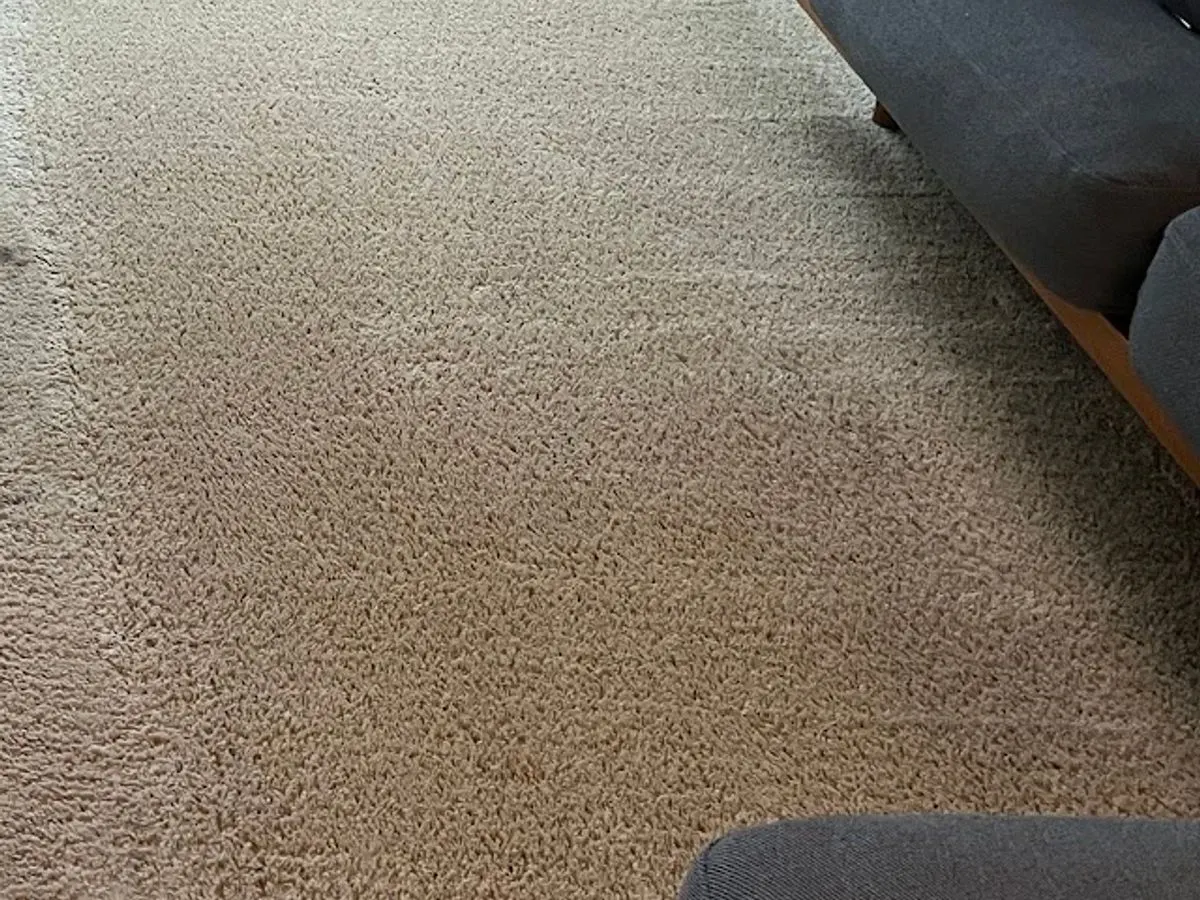Living room carpet, footprint soil beside the cleaned side of the room after cleaning