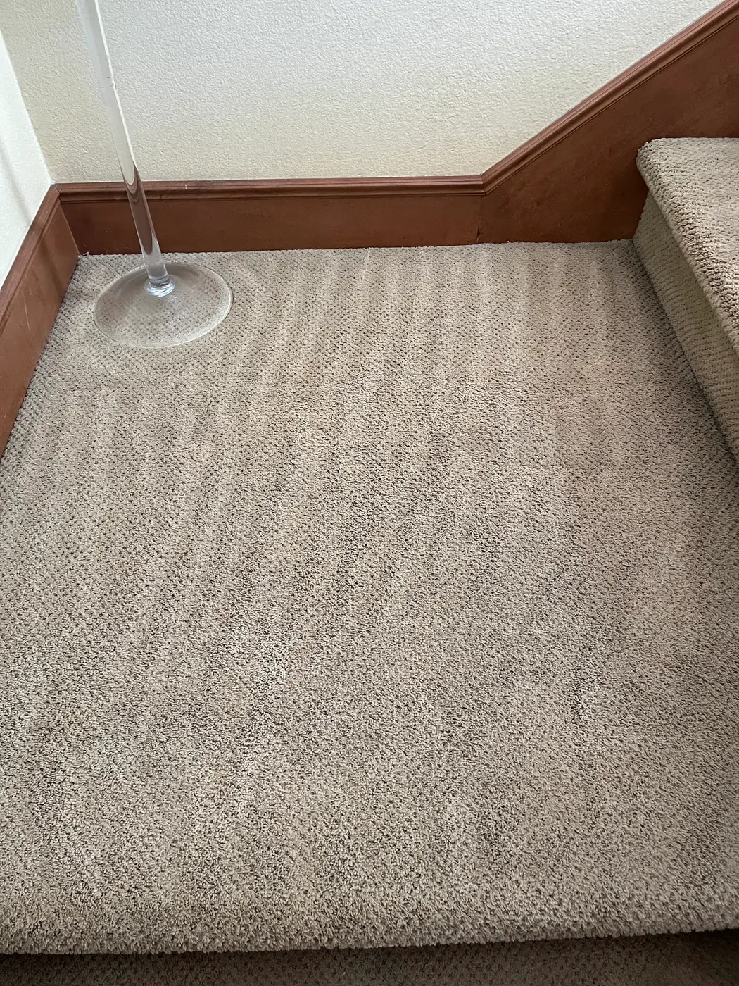 Carpet with stains beside the cleaned carpet after cleaning