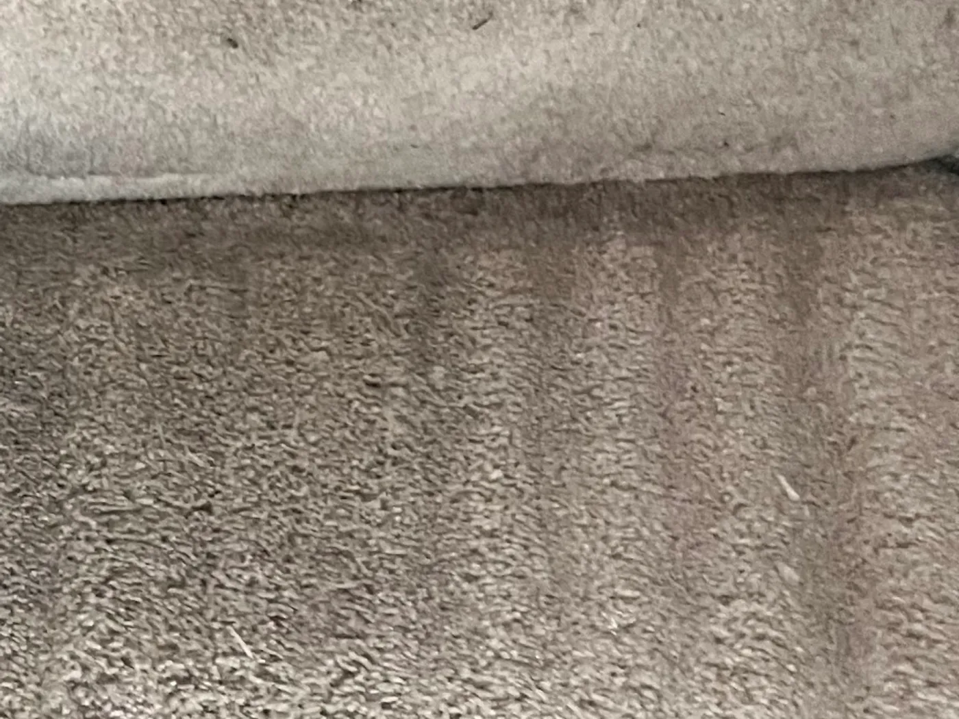 Carpeted stairs, soiled treads beside a cleaned pass after cleaning
