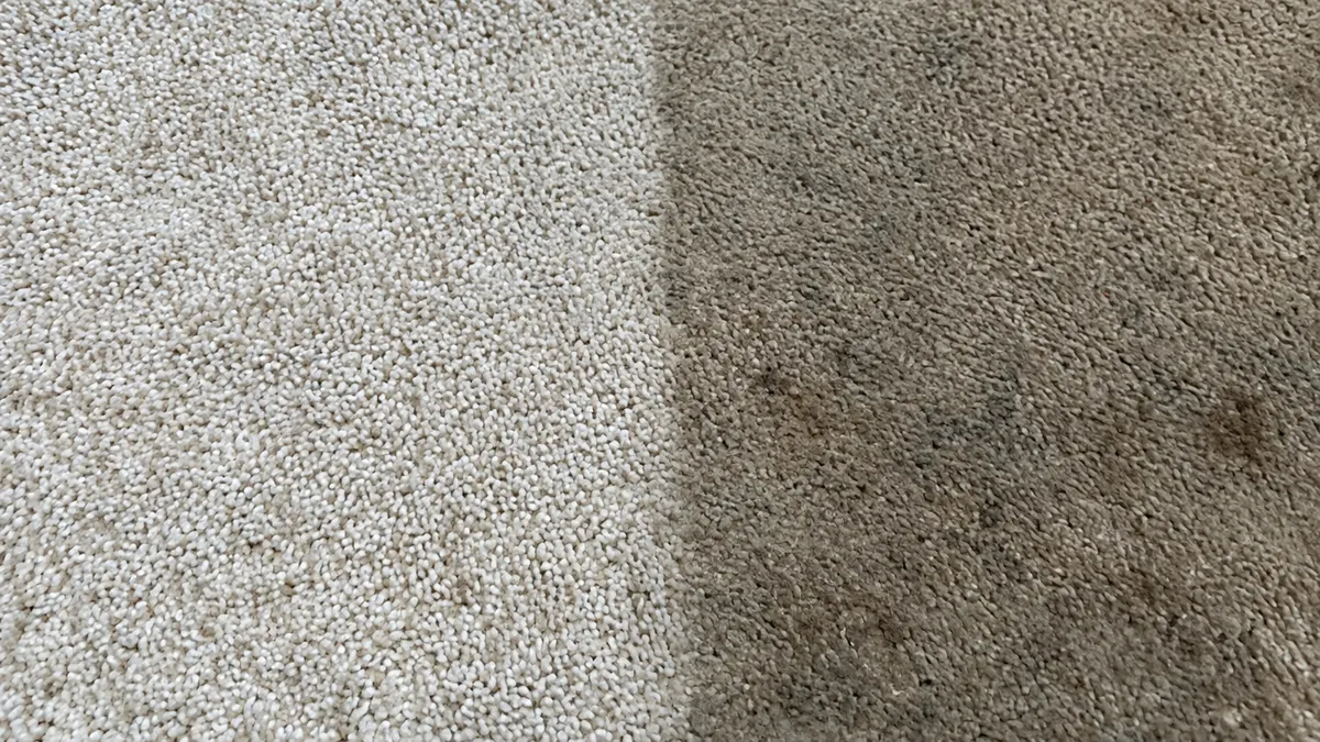 Carpeted hallway and stair landing after soil was extracted