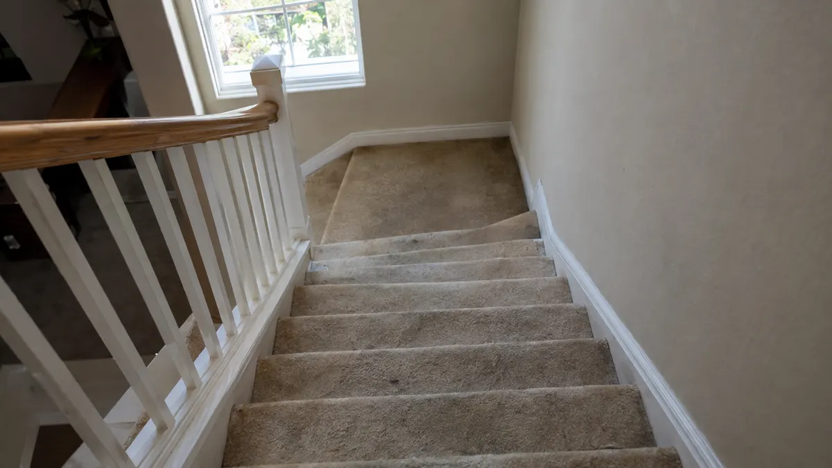 Person vacuuming a maintained carpet in even, overlapping passes