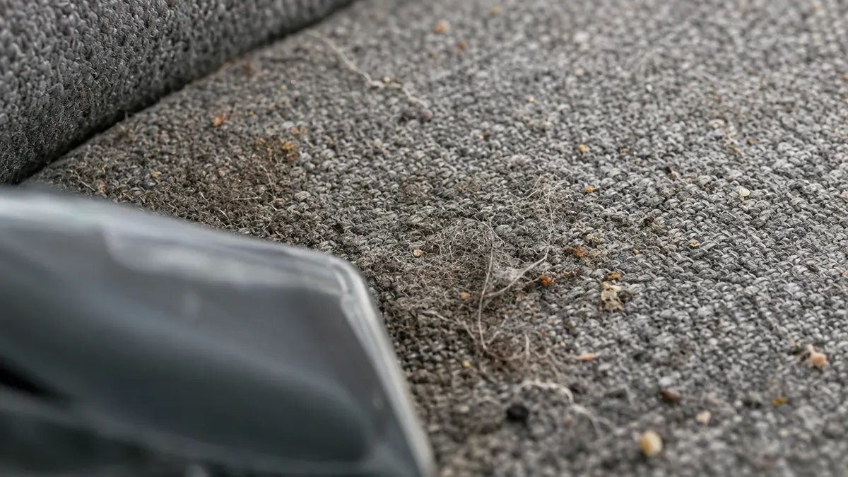 Upholstery tool cleaning the arm of a fabric chair