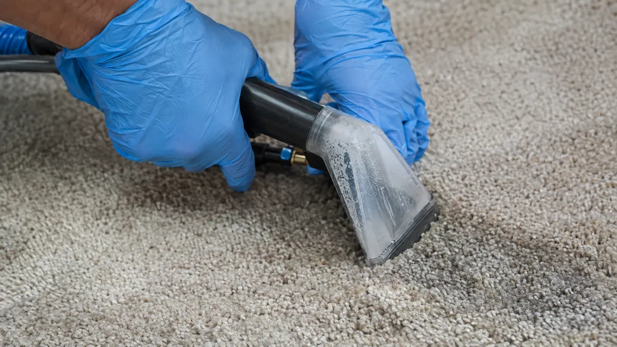 Maintained wall-to-wall carpet in a regularly cleaned home