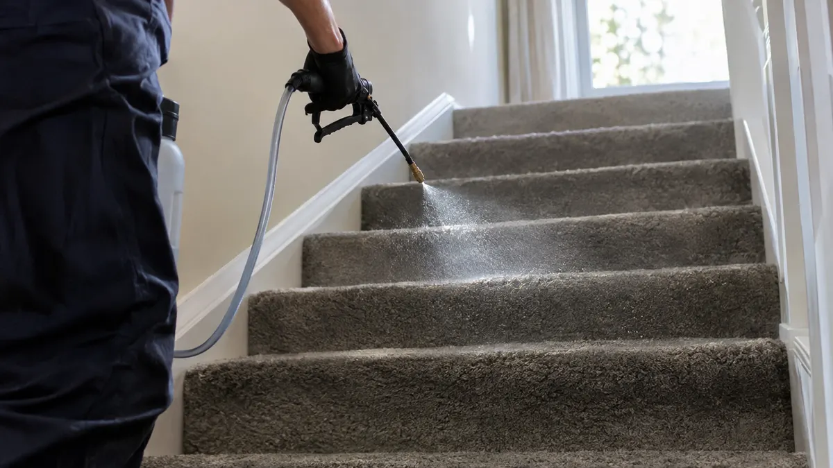 Liquid beading on carpet fibers after a protector treatment