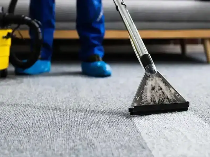 A carpet cleaning professional uses a vacuum attachment to clean a carpet, showing a clear difference between the dirty and clean sections.