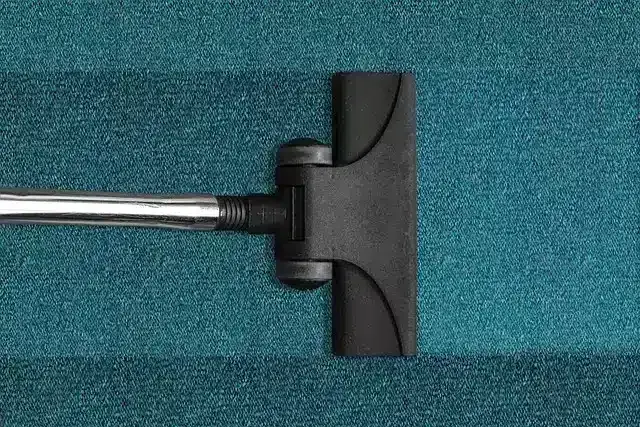 Vacuum cleaner head on a teal carpet