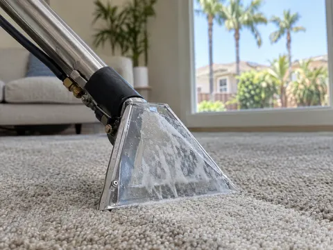 Carpet cleaning inside a Westminster, California home