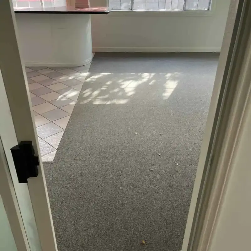 A view of a carpeted room with sunlight streaming through a window, casting shadows.