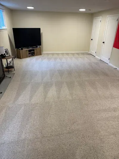 Cleaned carpet with visible vacuum lines in a living room.