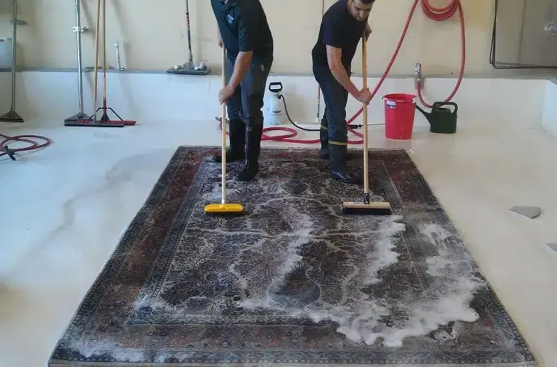 Two workers cleaning a large oriental rug with brooms and soap.