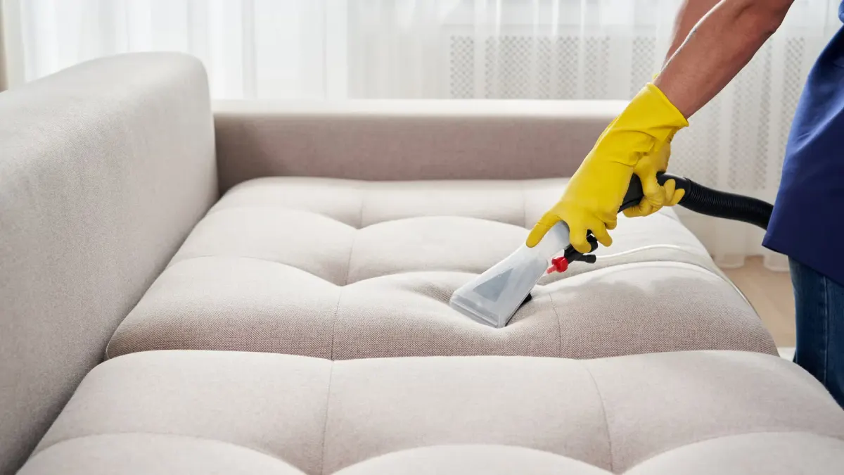 Professional cleaning of a tufted sofa with a steam cleaner.