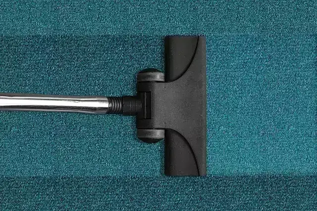 Vacuum cleaner head on a teal carpet.
