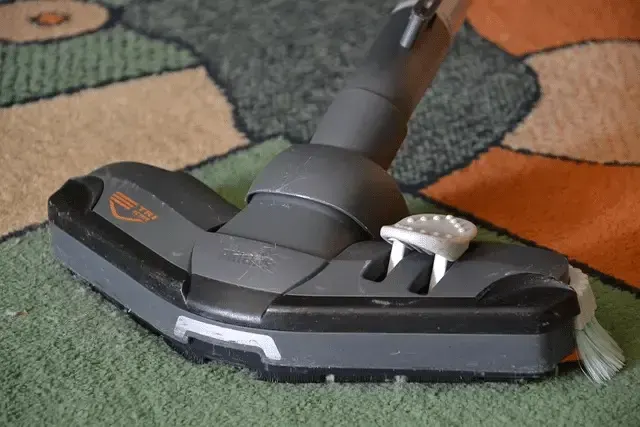 Close-up of a vacuum cleaner head on a patterned carpet.