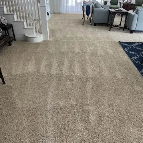 Cleaned carpet with visible vacuum lines in a living room with stairs and furniture.