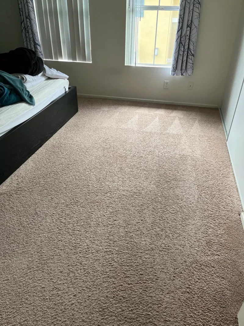 Cleaned carpet with visible lines from cleaning equipment in a bedroom.