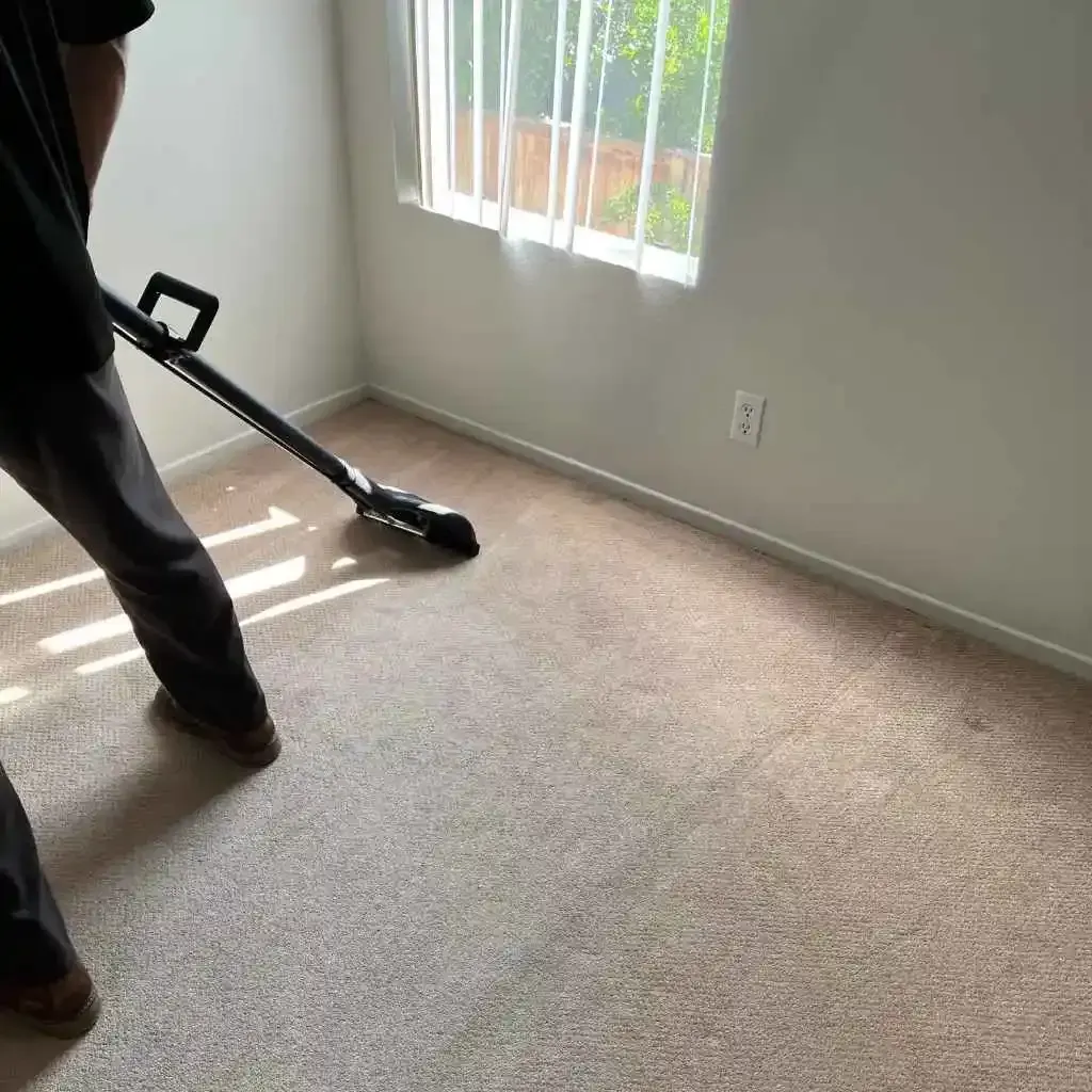 Person cleaning a carpet with a professional cleaning machine in a room with natural light.