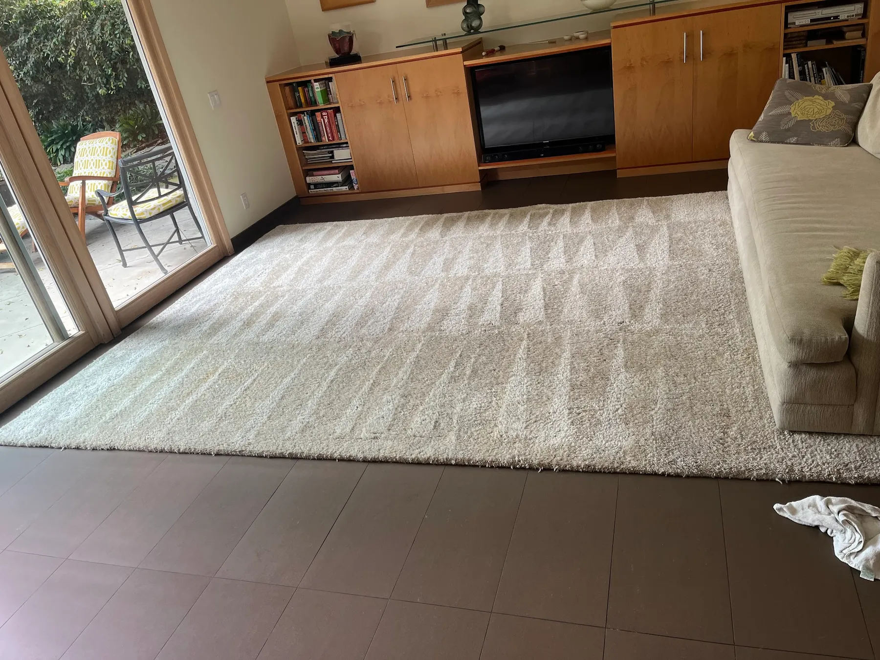 Living room carpet with fresh cleaning lines