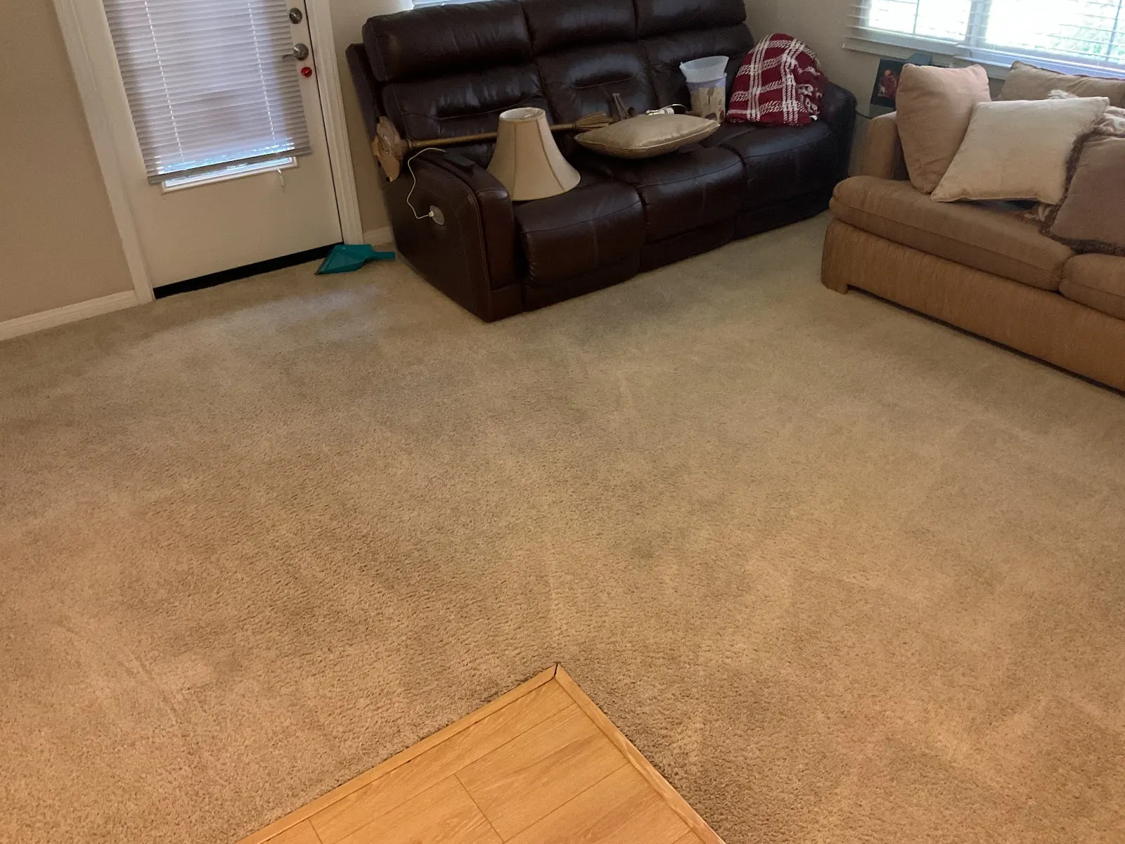 Living room carpet after cleaning, ready for protective treatment