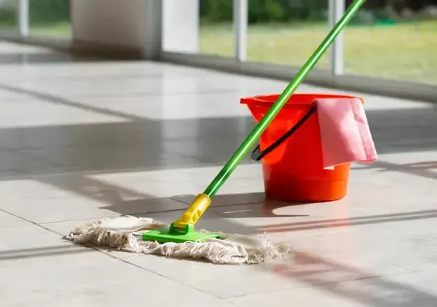 Mop and bucket on a tiled floor with sunlight streaming in.