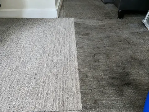 Professional commercial carpet cleaning in Orange County
