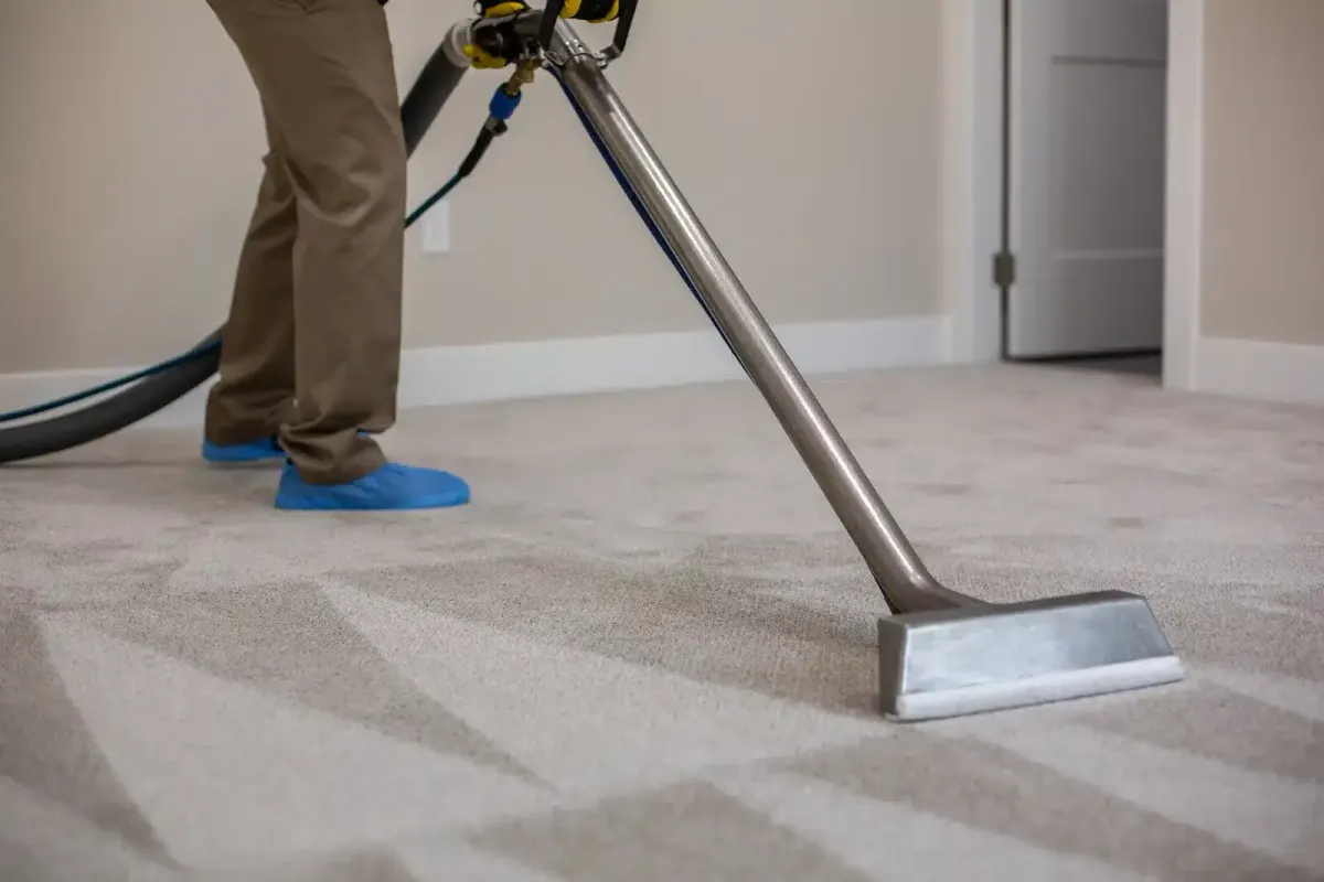 Person cleaning a carpet with a professional cleaning machine.