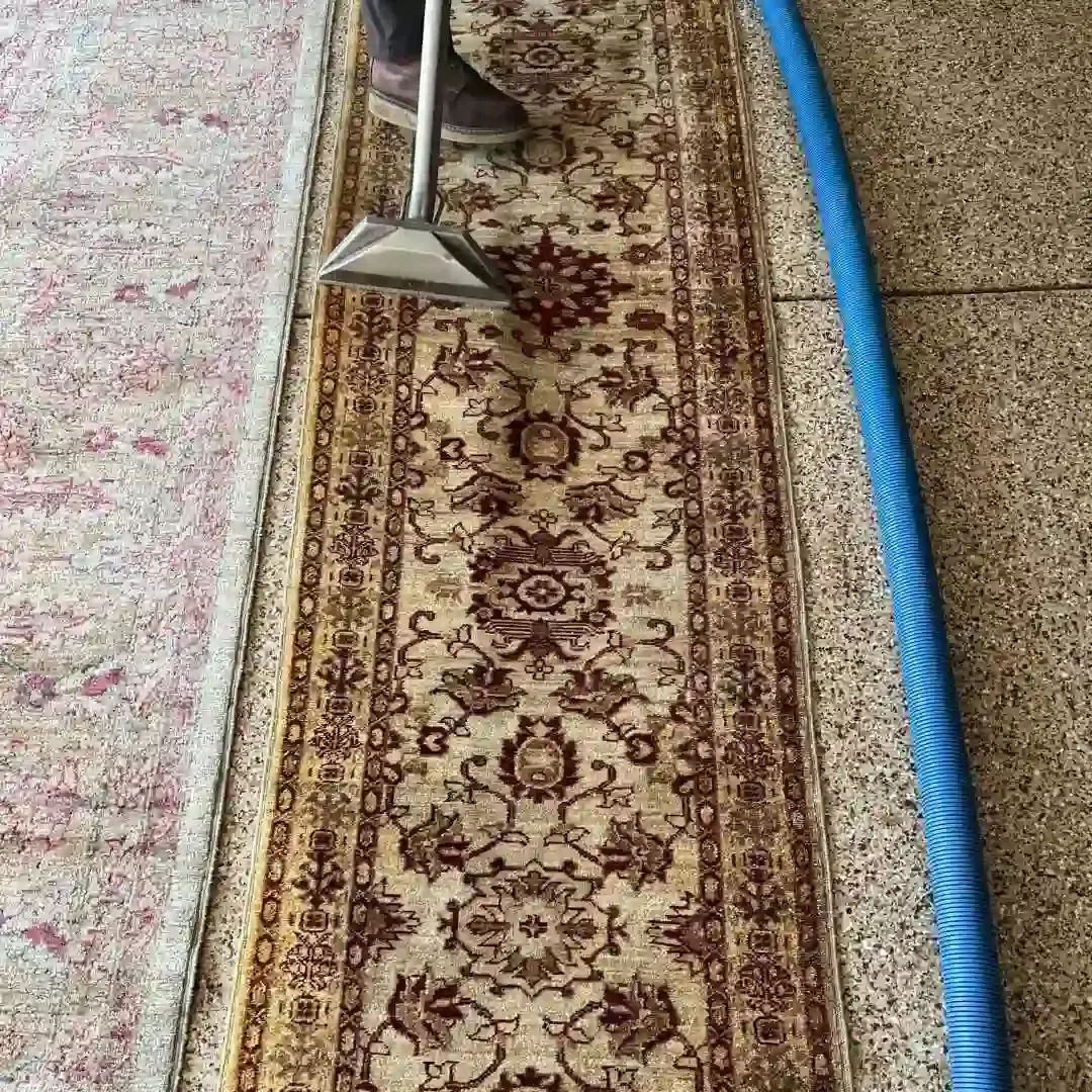 A person cleans an oriental rug with a vacuum attachment and a blue hose nearby.