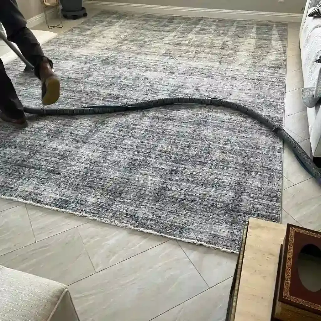 A person cleaning a patterned rug with a hose connected to a cleaning machine.