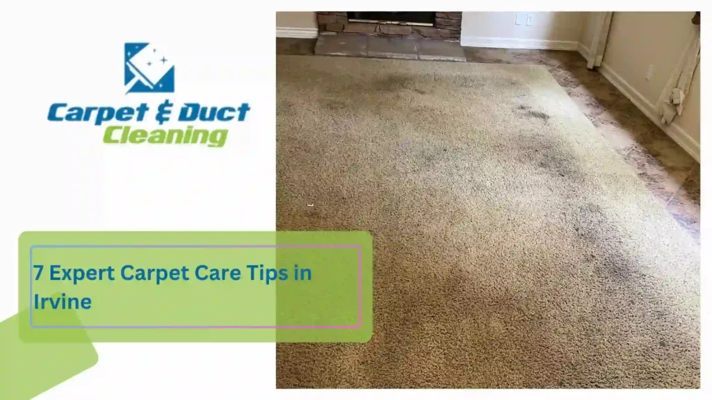 7 Expert Carpet Care Tips in Irvine