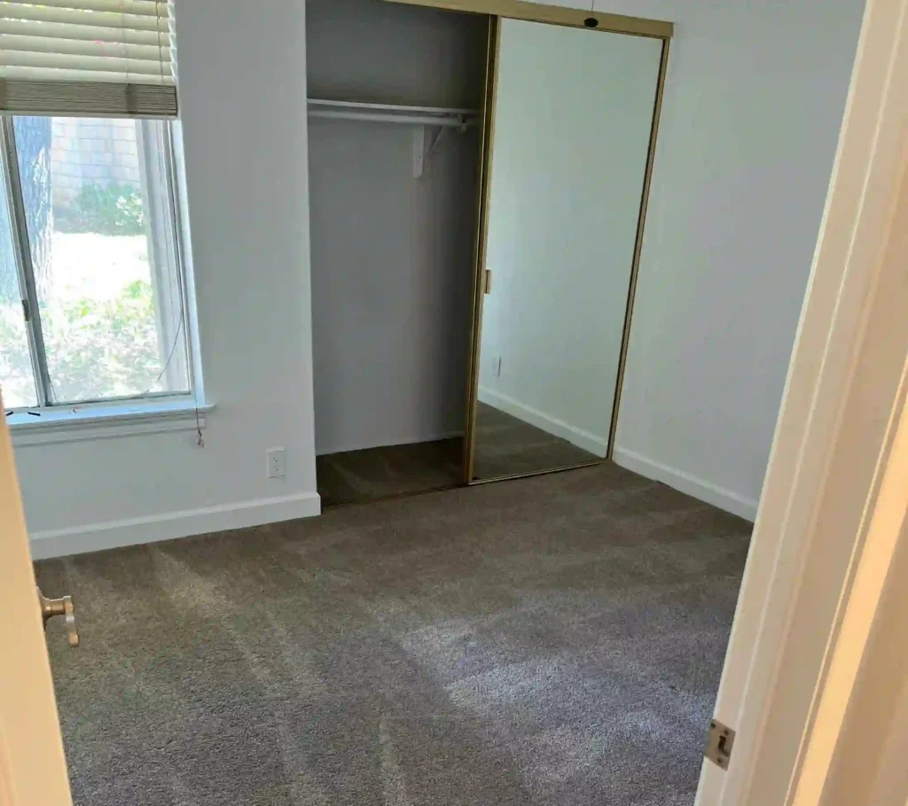 Carpet Cleaning Indoor Cleaning