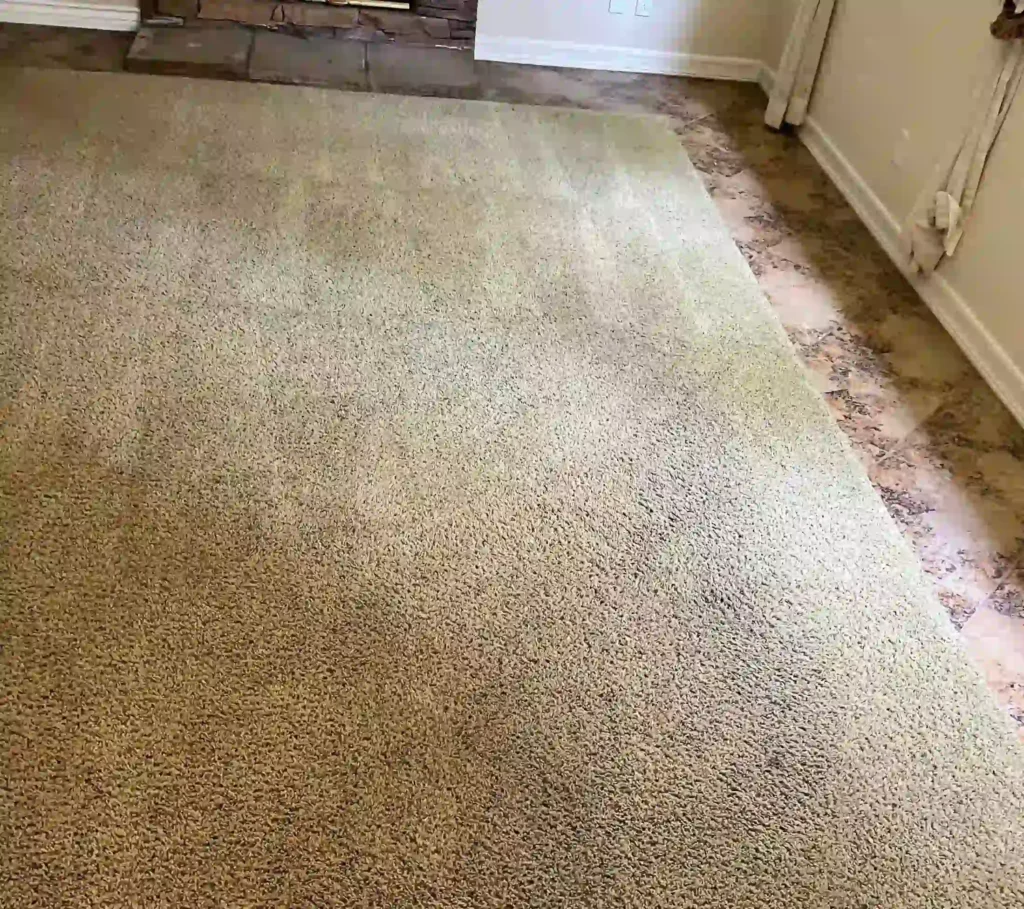 Carpet Cleaning Tips