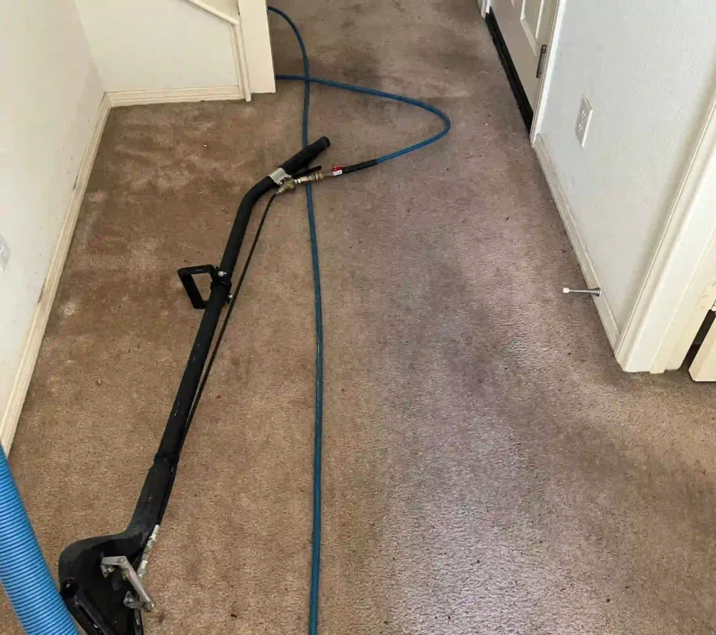Carpet cleaning method from professionals