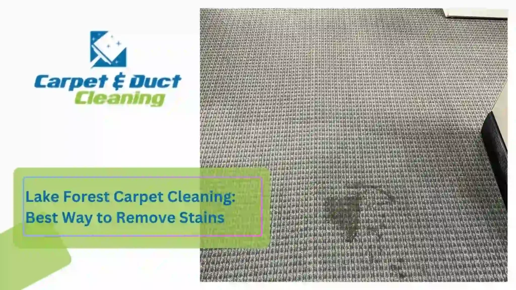 Lake Forest Carpet Cleaning Best Way to Remove Stains
