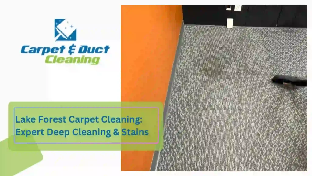 Lake Forest Carpet Cleaning Expert Deep Cleaning & Stains