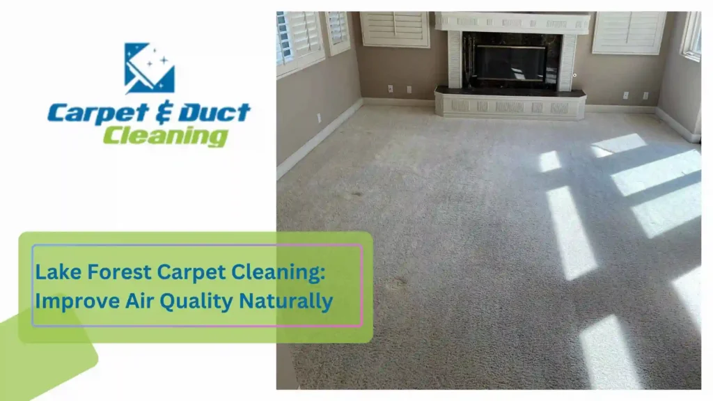 Lake Forest Carpet Cleaning Improve Air Quality Naturally