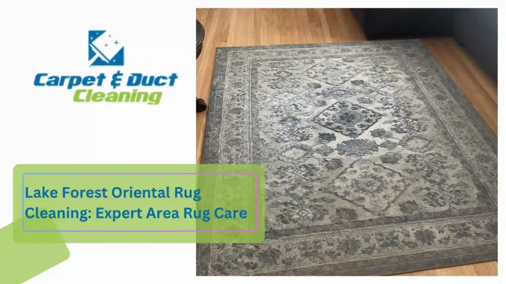 Lake Forest Oriental Rug Cleaning Expert Area Rug Care